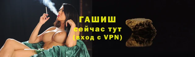 стафф Алзамай