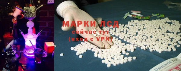 стафф Алзамай