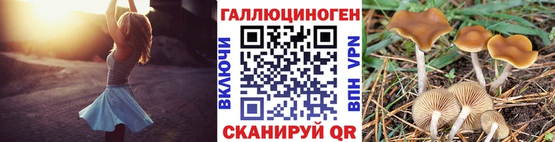 где можно купить наркотик Грязовец Галлюциногенные грибы прущие грибы
