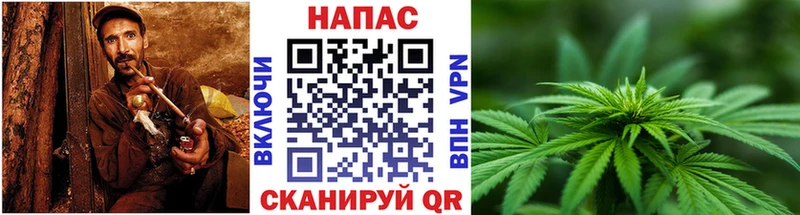 мега ТОР  Грязовец  МАРИХУАНА план  сколько стоит 